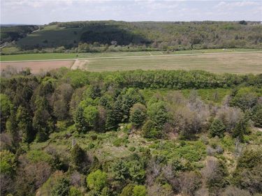 Lot 03 County Road 16, Swain, NY 14884