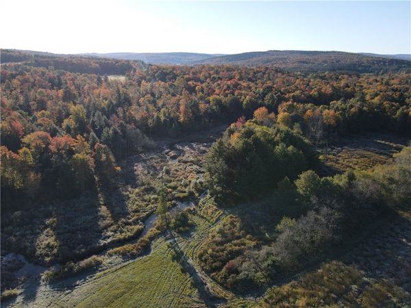 Lot 1 County Road 16, Swain, NY 14884