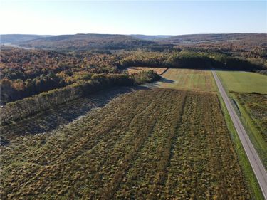 Lot 2 County Road 16, Swain, NY 14884