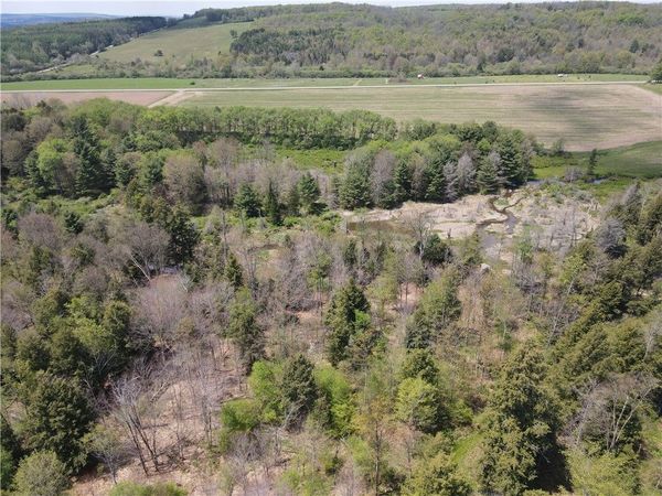 Lot 2 County Road 16 , Swain, NY 14884