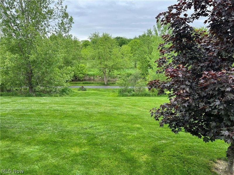 9338 Towpath Trail , Seville, OH 44273 Photo 5