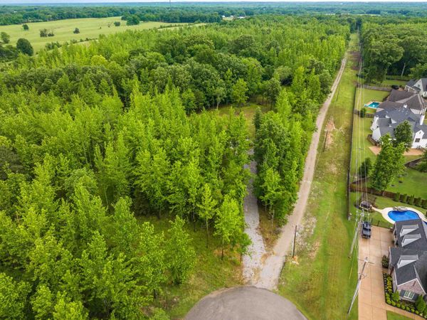 12800 MAGS LN, Collierville, TN 38017