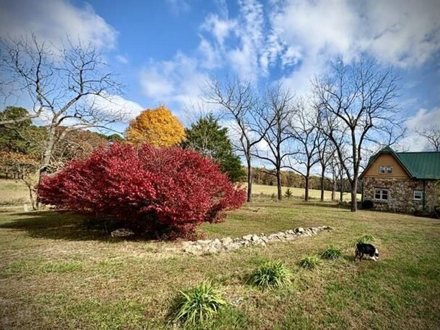Property Image 36