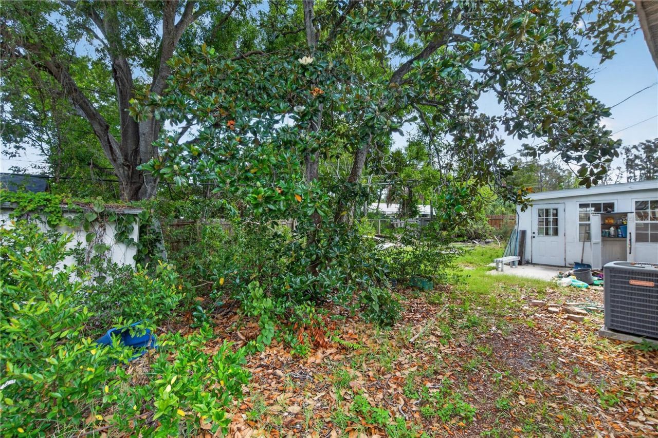 7211 Lynnwood Avenue N, Saint Petersburg, FL 33710 Photo