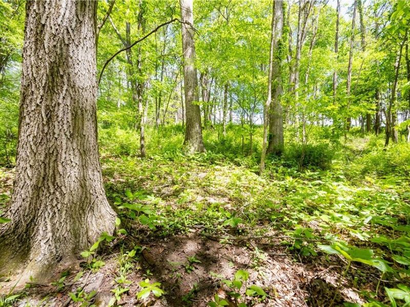 0 Township Road 250 , Newcomerstown, OH 43832 Photo 12