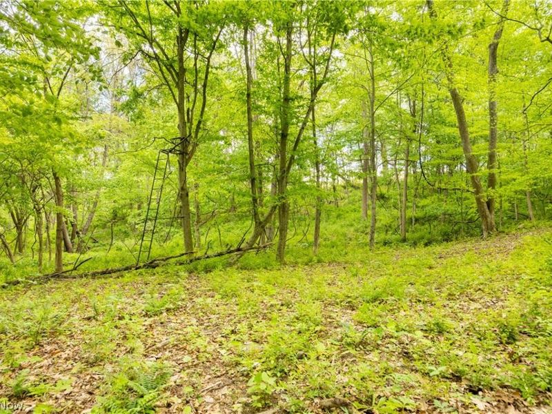 0 Township Road 250 , Newcomerstown, OH 43832 Photo 6