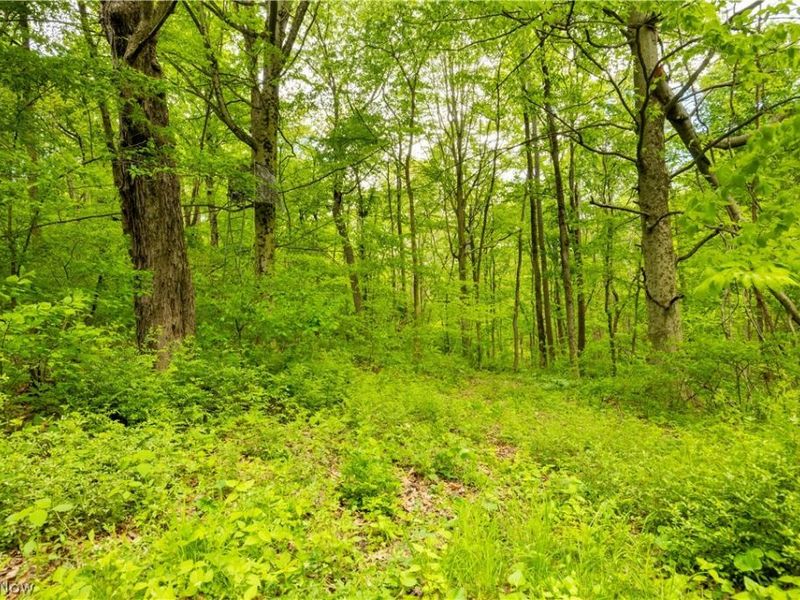 0 Township Road 250 , Newcomerstown, OH 43832 Photo 7
