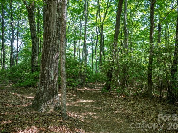 TM I 33 Toxaway Drive , Lake Toxaway, NC 28747
