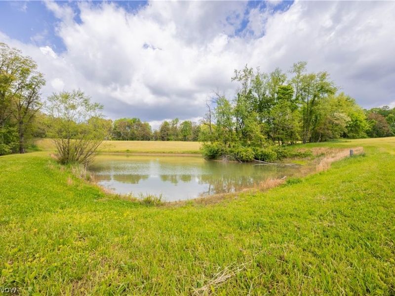 26103 Township Road 250 , Newcomerstown, OH 43832 Photo 45