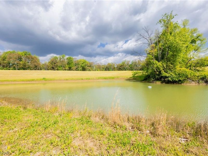 26103 Township Road 250 , Newcomerstown, OH 43832 Photo 47