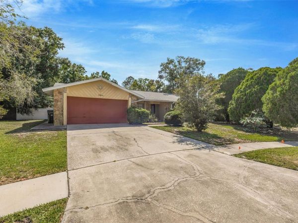 15804 IRONWARE PLACE, TAMPA, FL 33624