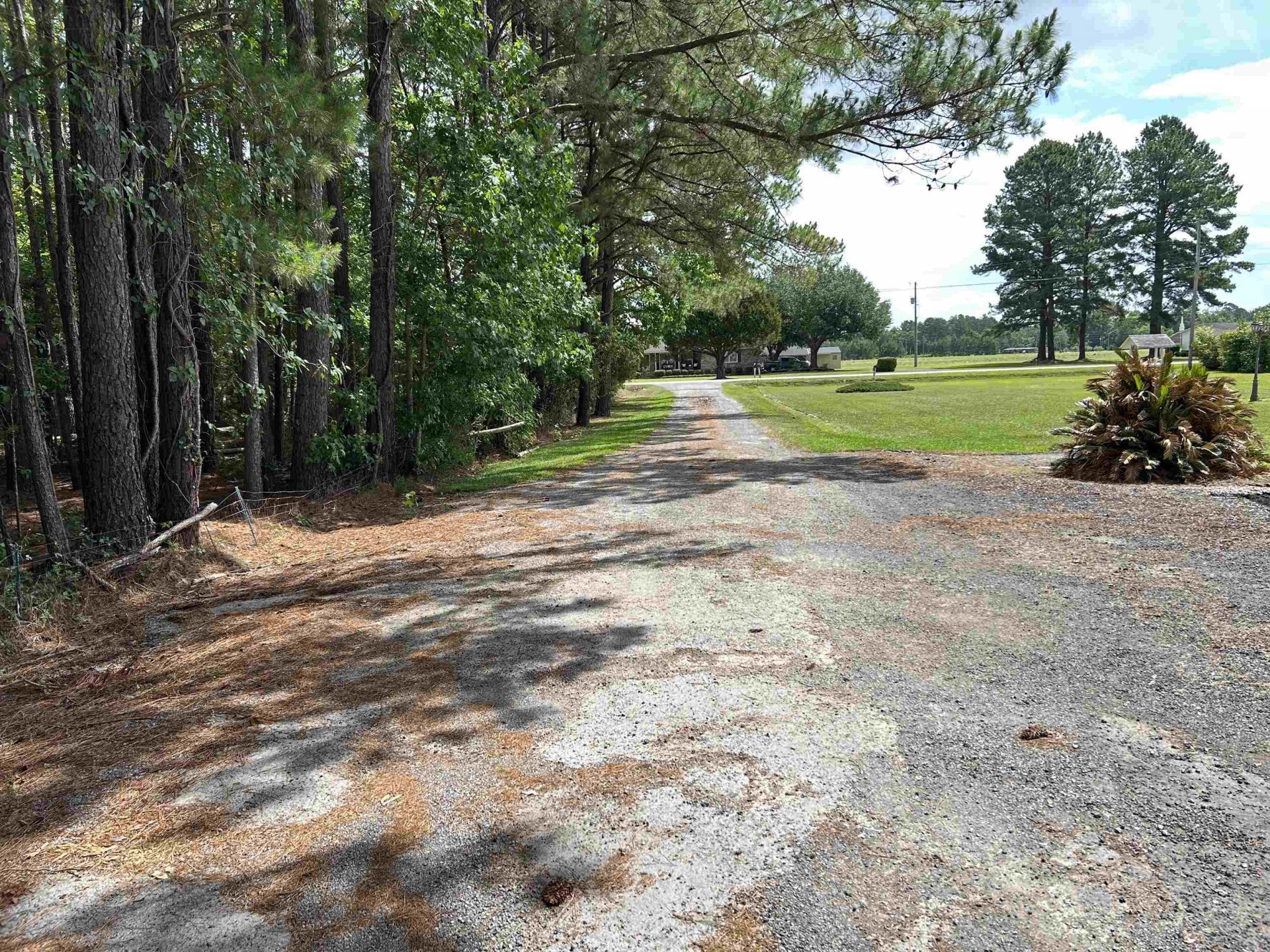117 Clifton Dr. Photo 33