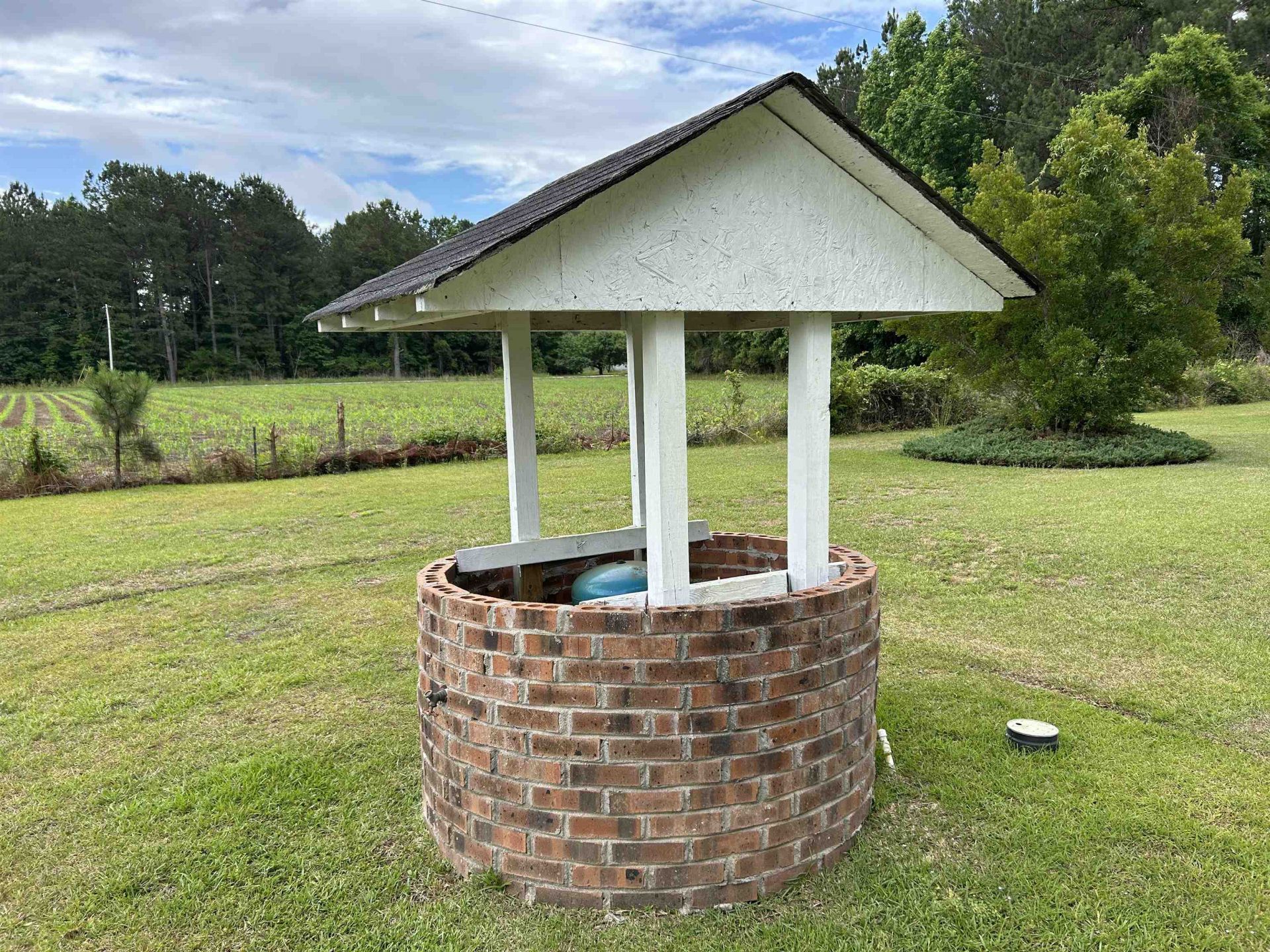 117 Clifton Dr. Photo 34