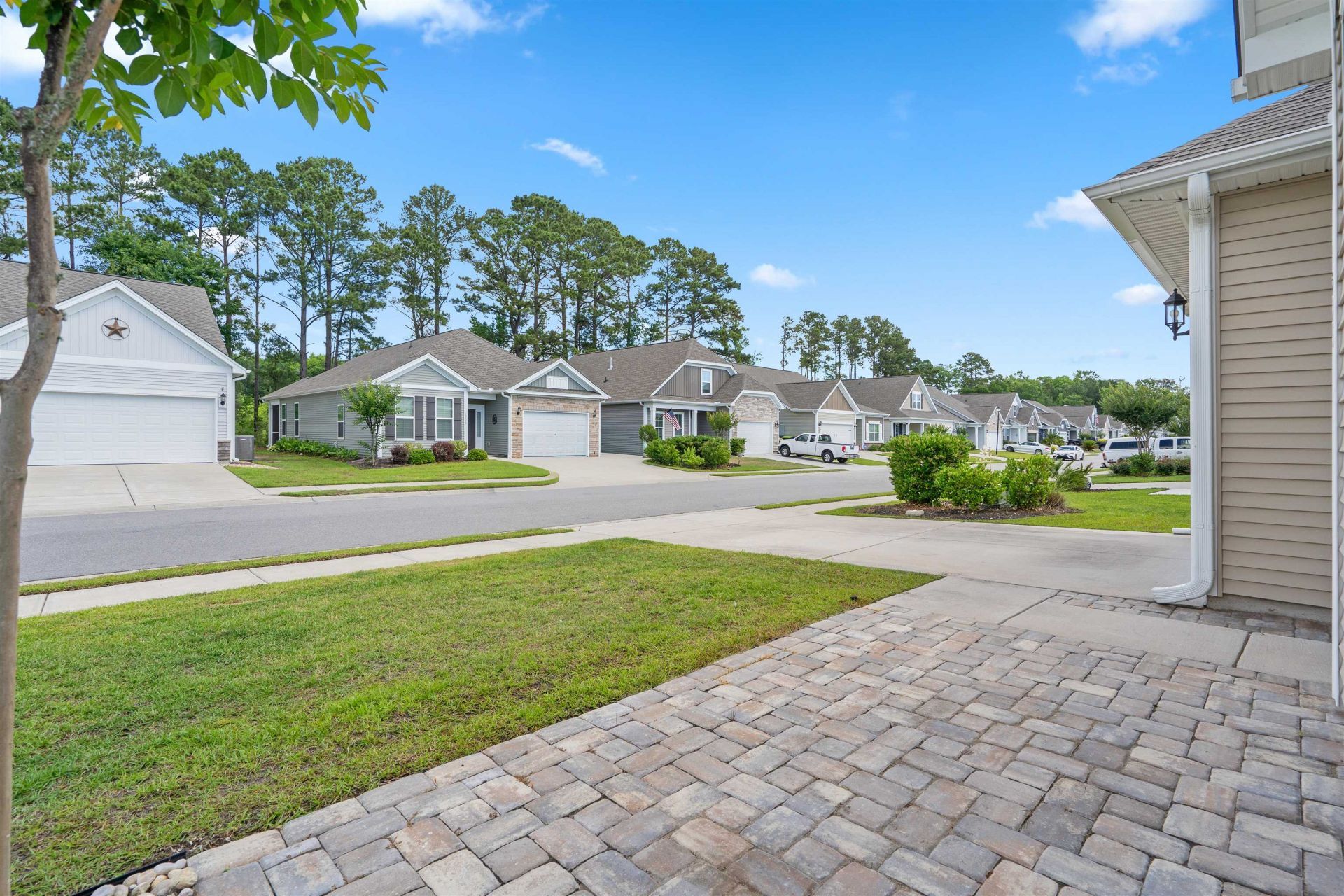 1225 Pyxie Moss Dr. Photo 40
