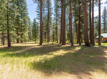 97 Main Street, Calpine, CA 96124 Photo