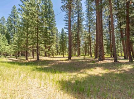 97 Main Street, Calpine, CA 96124 Photo