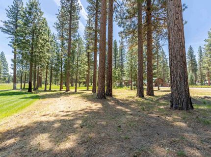 97 Main Street, Calpine, CA 96124 Photo