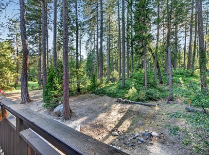 453 Blackbird Ln, Avery, CA 95224 Photo