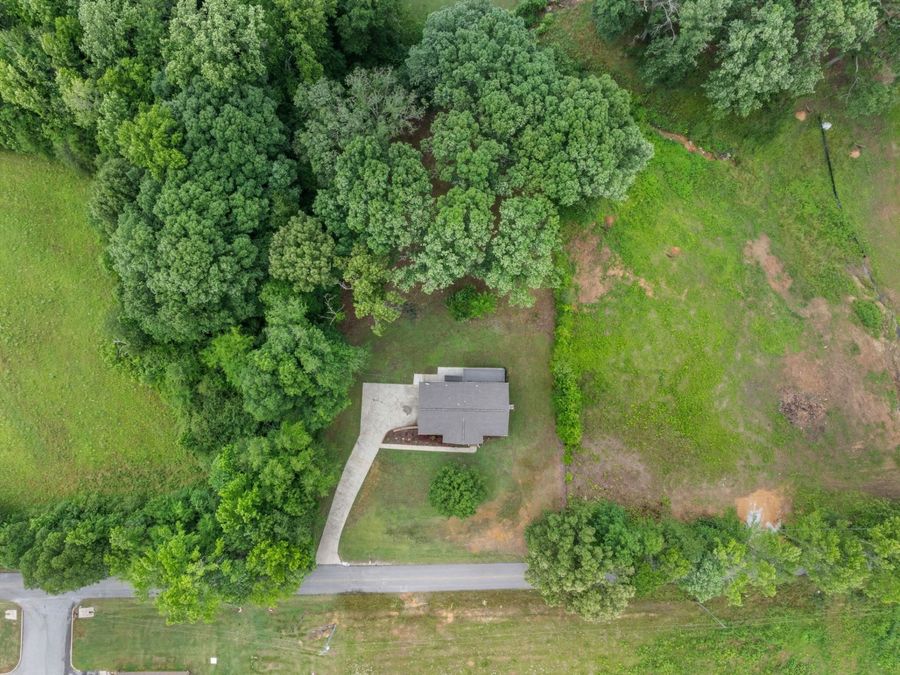 Property Image 41