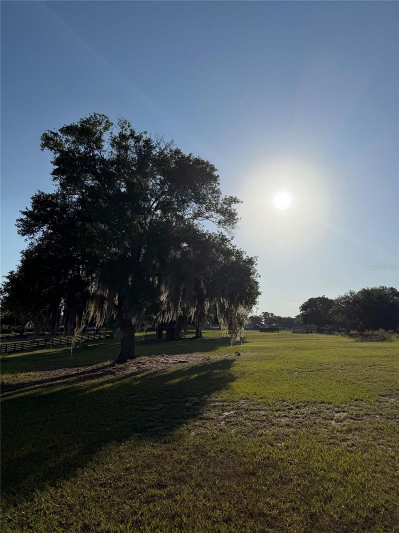 40143 Babb Road , Umatilla, FL 32784 Photo