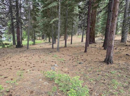 260 Osprey Loop, Lake Almanor, CA 96020 Photo