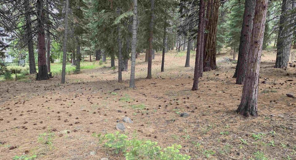 260 Osprey Loop, Lake Almanor, CA 96020 Photo