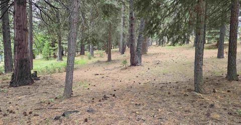 260 Osprey Loop, Lake Almanor, CA 96020 Photo
