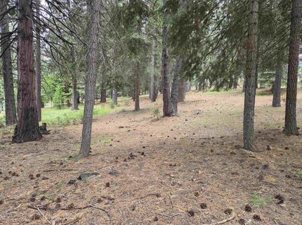260 Osprey Loop, Lake Almanor, CA 96020 Photo