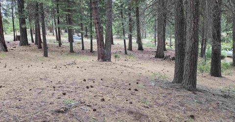 260 Osprey Loop, Lake Almanor, CA 96020 Photo
