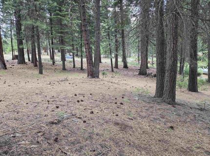 260 Osprey Loop, Lake Almanor, CA 96020 Photo