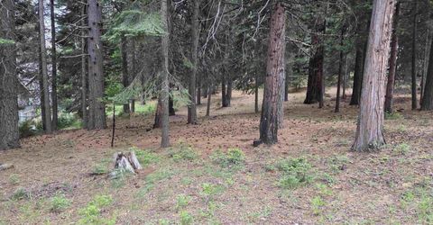 260 Osprey Loop, Lake Almanor, CA 96020 Photo