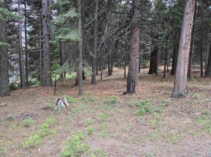 260 Osprey Loop, Lake Almanor, CA 96020 Photo