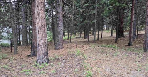 260 Osprey Loop, Lake Almanor, CA 96020 Photo