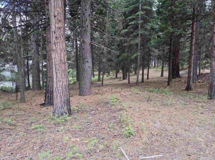 260 Osprey Loop, Lake Almanor, CA 96020 Photo