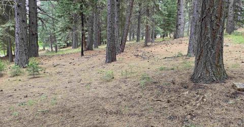 260 Osprey Loop, Lake Almanor, CA 96020 Photo