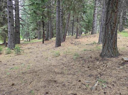 260 Osprey Loop, Lake Almanor, CA 96020 Photo