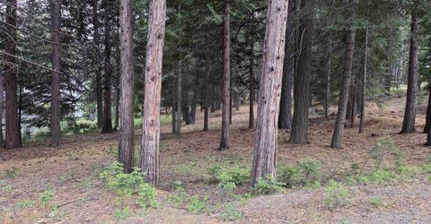 260 Osprey Loop, Lake Almanor, CA 96020 Photo