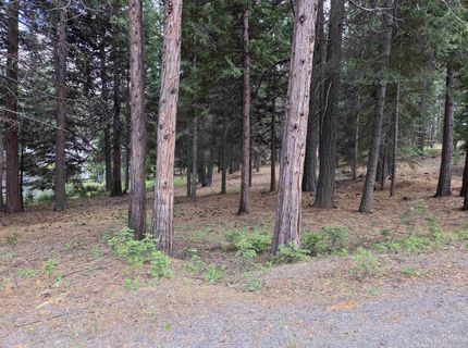 260 Osprey Loop, Lake Almanor, CA 96020 Photo