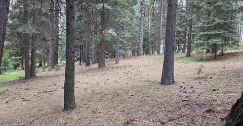 260 Osprey Loop, Lake Almanor, CA 96020 Photo