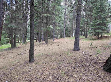 260 Osprey Loop, Lake Almanor, CA 96020 Photo