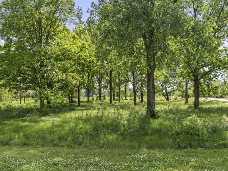 6412 Dicesare Loop, Dublin, OH 43016 Photo 106