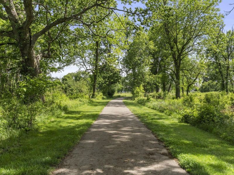 6412 Dicesare Loop, Dublin, OH 43016 Photo 95