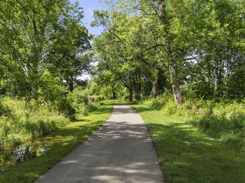 6412 Dicesare Loop, Dublin, OH 43016 Photo 96