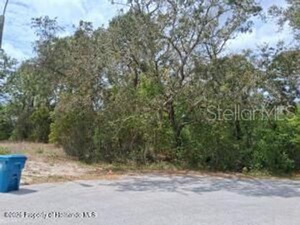 9159 LIBERATOR COURT , SPRING HILL, FL 34608