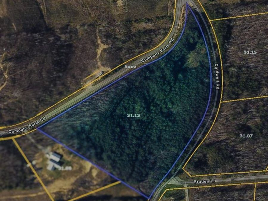 Property Image 11