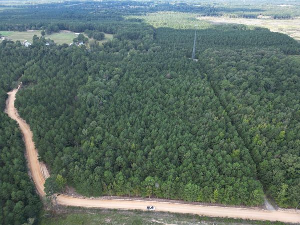 286 Bradley 68 Road , Warren, AR 71671