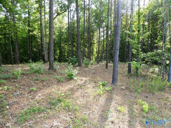 Lot 74 Harbor Lights Trail, Jasper, AL 35504