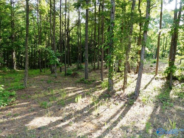 Lot 75 Harbor Lights Trail, Jasper, AL 35504