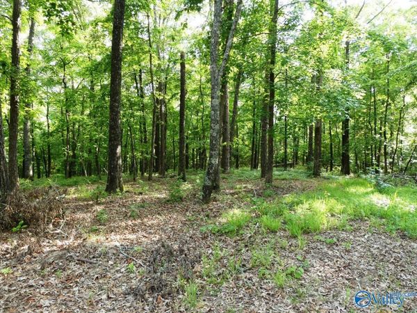 lOT 50 Harbor Loop, Jasper, AL 35504