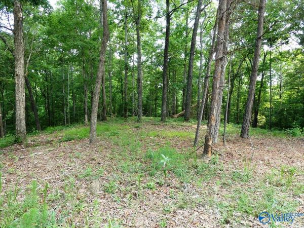 Lot 77 Broken Arrow, Jasper, AL 35504